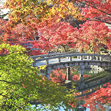 京都の風景